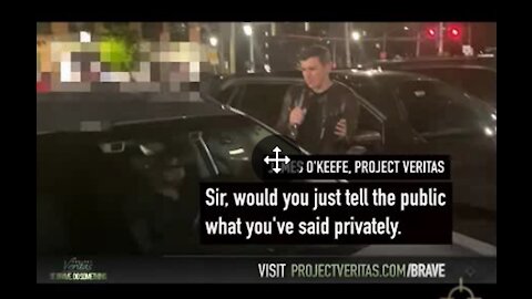 Project Veritas AGAIN WILL U EXPOSE ENTIRE ENVIR INDUSTRY AS FRAUDS THEY ARE?