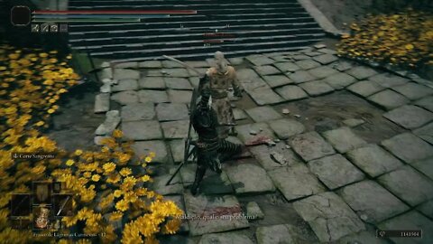 ELDEN RING Sino de Gostoc (depois da batalha contra Godrick em Tempesvéu)/