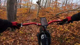 Valley Spur Leaf Surfing Fatbike Style ( Fatback Rhino )