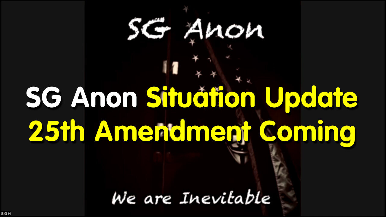 SG Anon Situation Update - 25th Amendment Coming - 7/9/24..