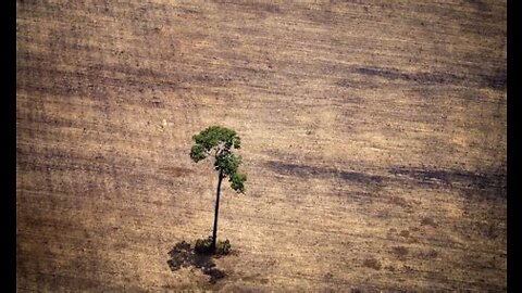 Humans vs Nature - The longest war on earth