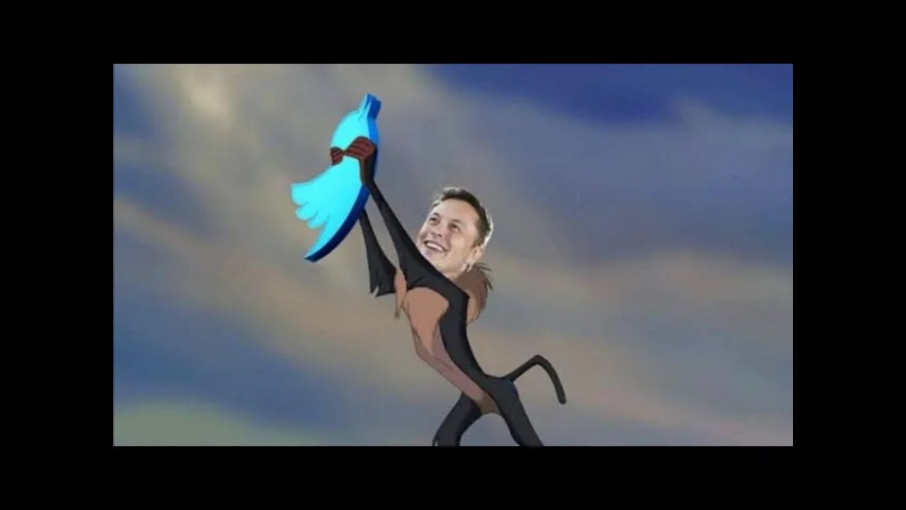 Elon Musk Buys Twitter Meme Compilation