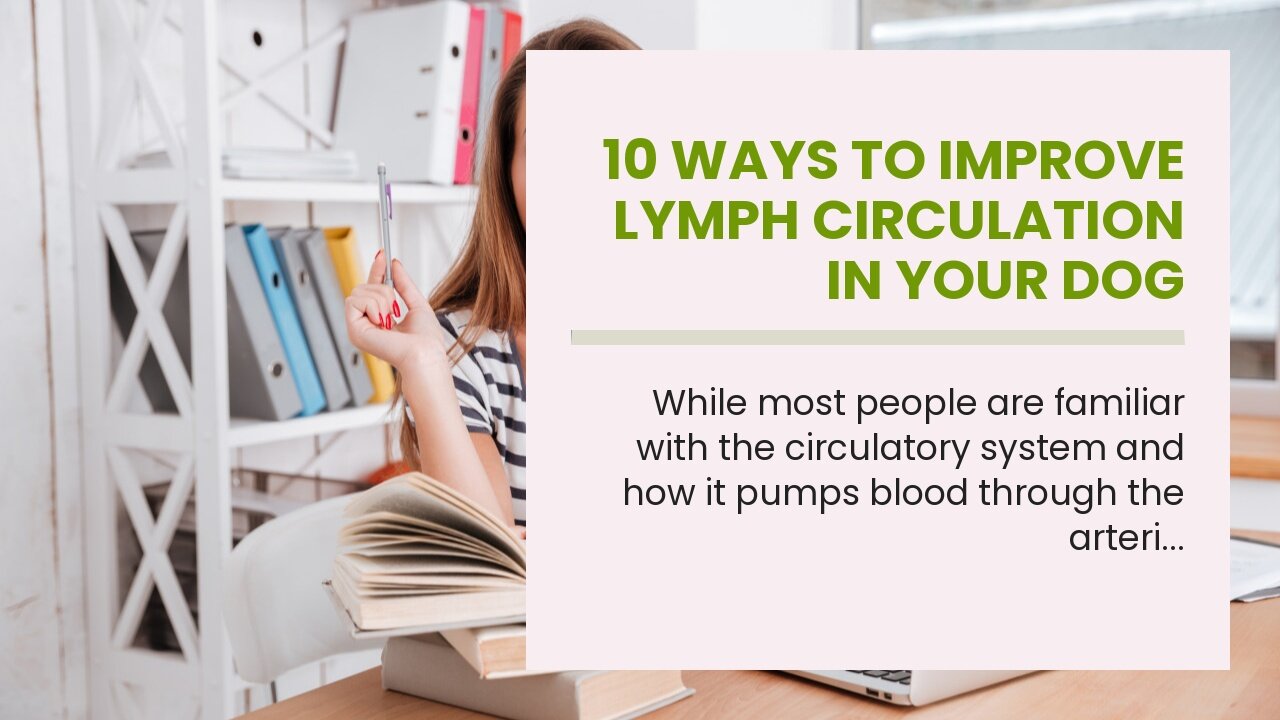 10 Ways to Improve Lymph Circulation in Your Dog