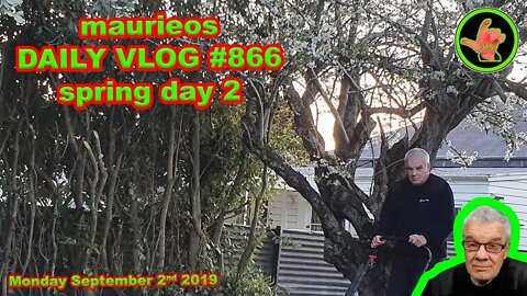 maurieos DAILY VLOG #866 spring day 2