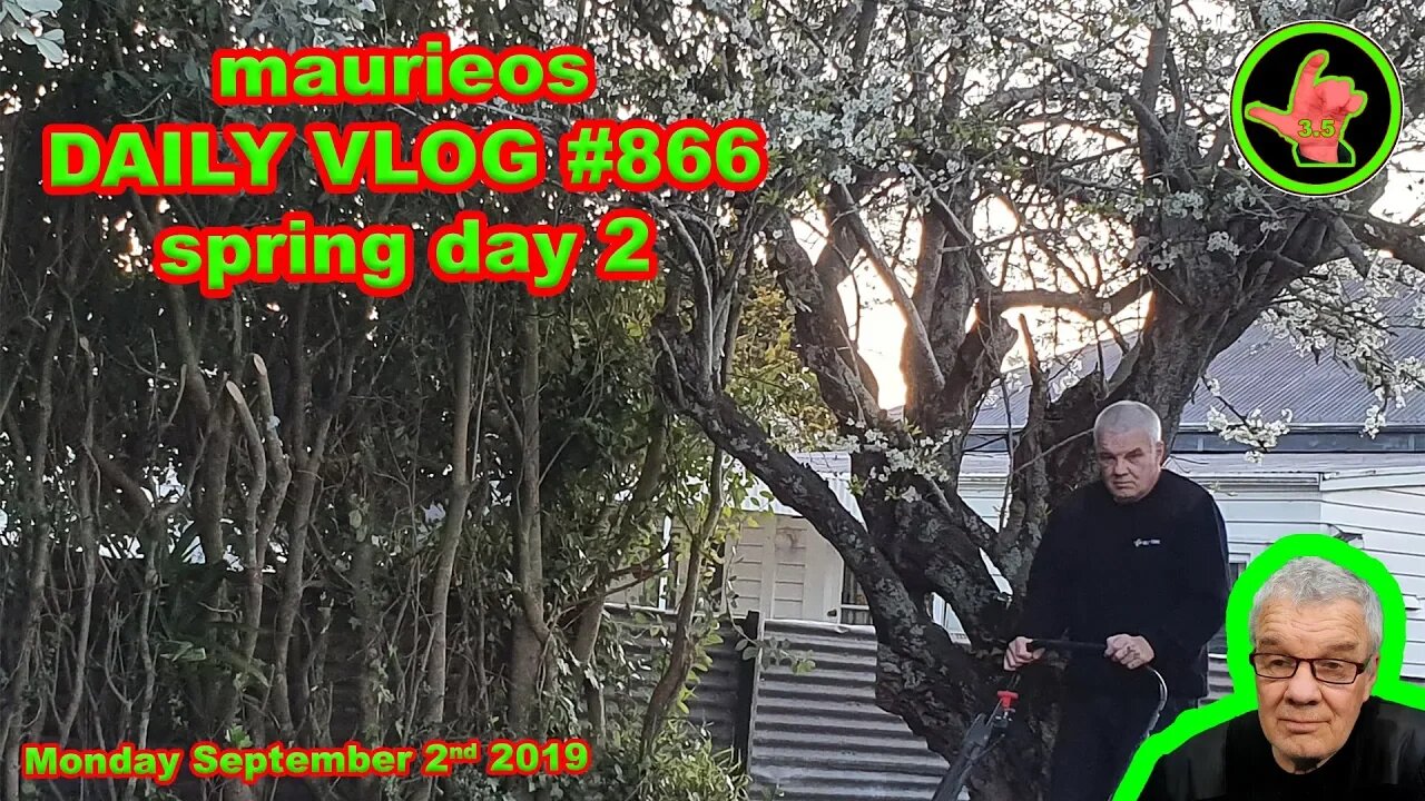 maurieos DAILY VLOG #866 spring day 2
