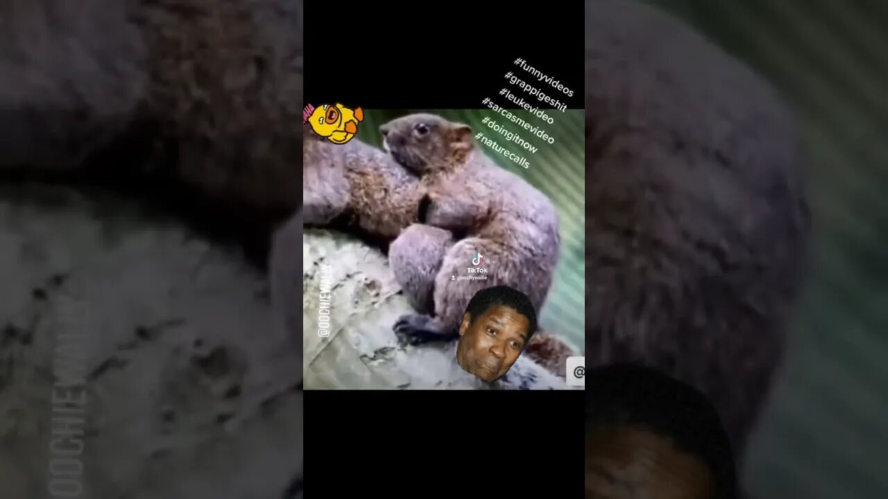 Sessions in the wild