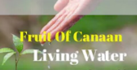 Unworthy Ambassador - Abiding Part 3 Fruit of Canaan and Living Water