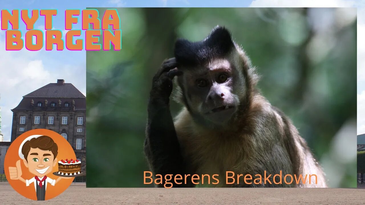 Jeg fatter aller en ski