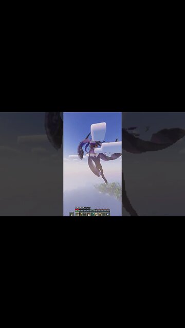 Multiplayer Minecraft Art 20