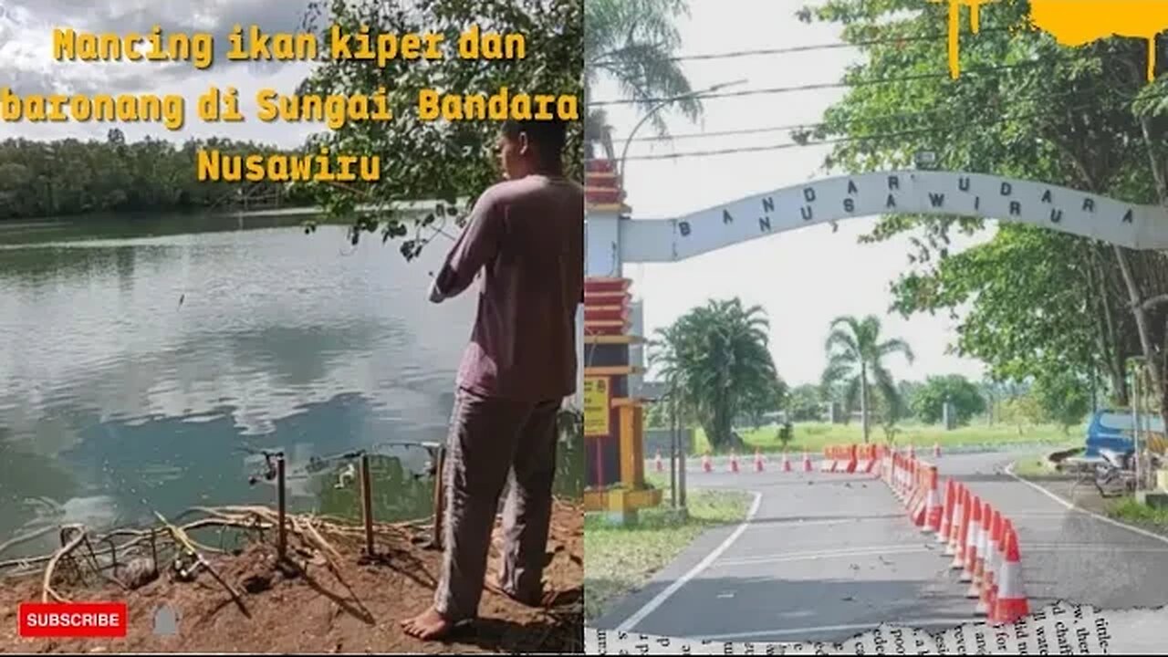 Mancing Ikan Kiper dan Baronang di Sungai Nusawiru