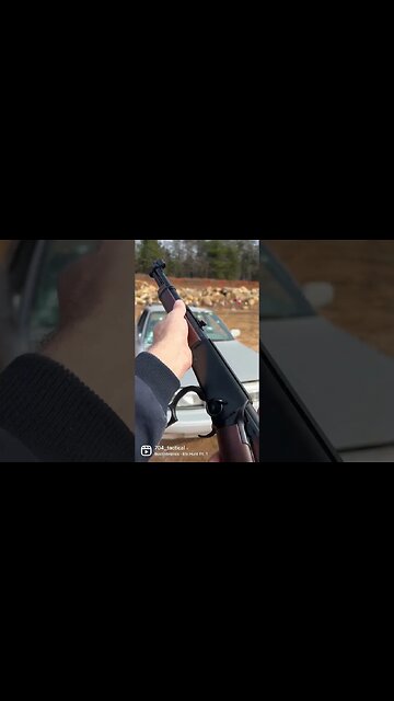 Henry Mare’s Leg 22lr Plinking