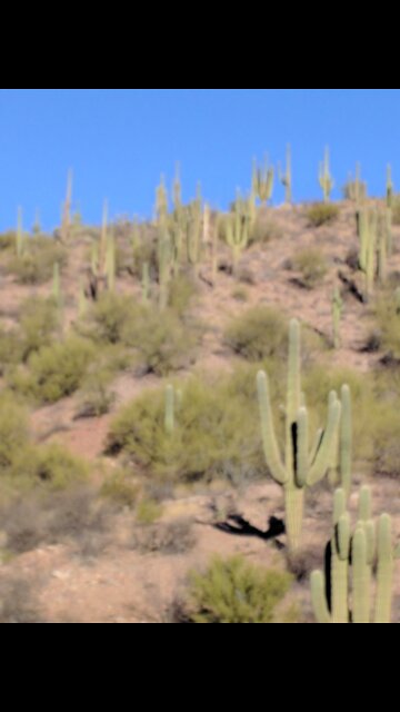 What a scam on the American people