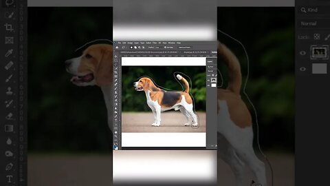 How to remove anything from your photo in photoshop Ps #shorts