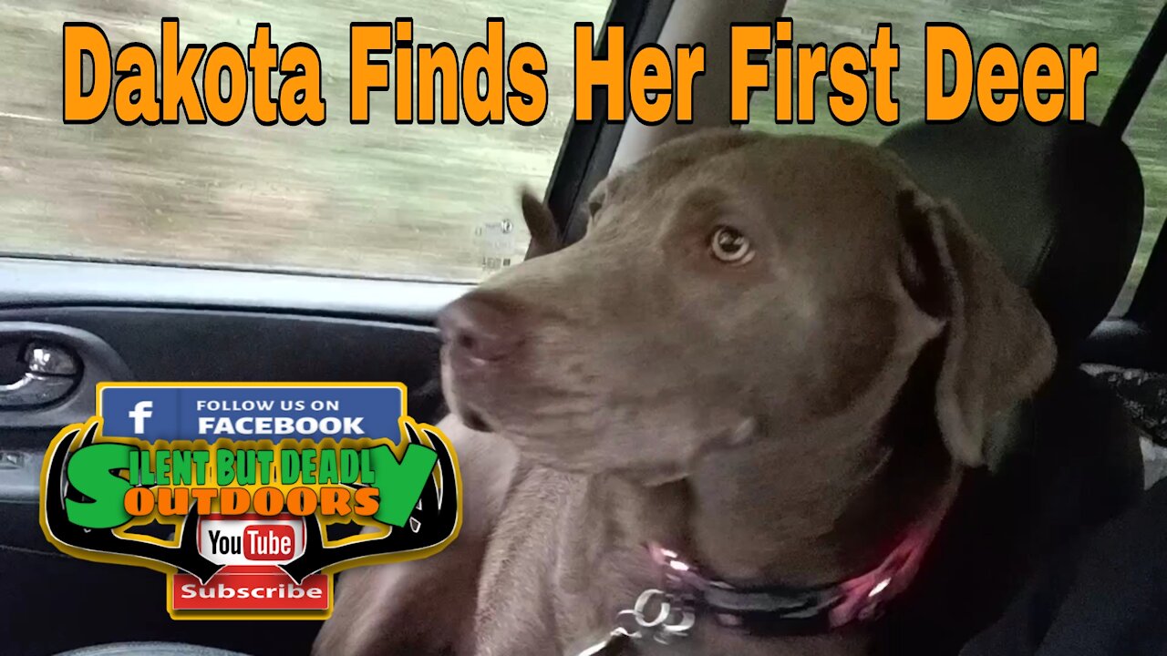 Dakota Finds Her First Deer