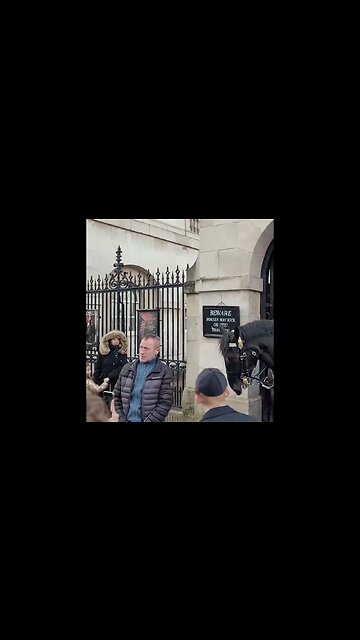 The Horse gives the tourist lip #thekingsguard