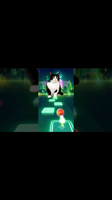 cat singing Wednesday #shorts #music #cat