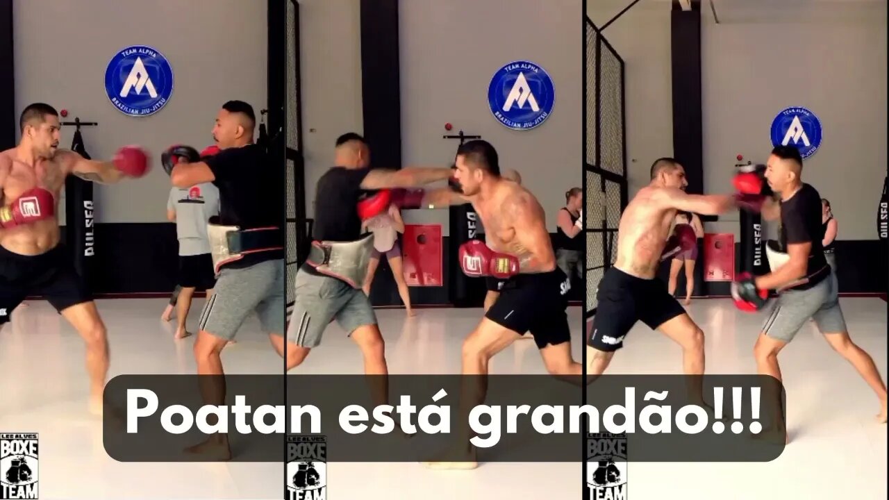 Gringos afirmam que Alex Poatan é MUITO Grande para peso médio baseado no seu último treino