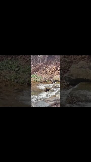 The best is yet to come. You don’t know what the rest of the contract is. #Shorts #DoloresCannon