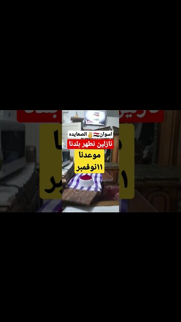 الصعايده من اسوان .. كمان وكمان وكمان .. نازلين ١١نوفمبر نطهر بلدنا 💚