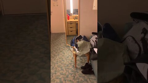 Cruise 🚢 Vlog#7