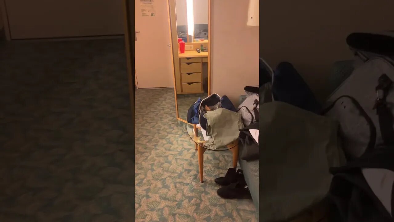 Cruise 🚢 Vlog#7