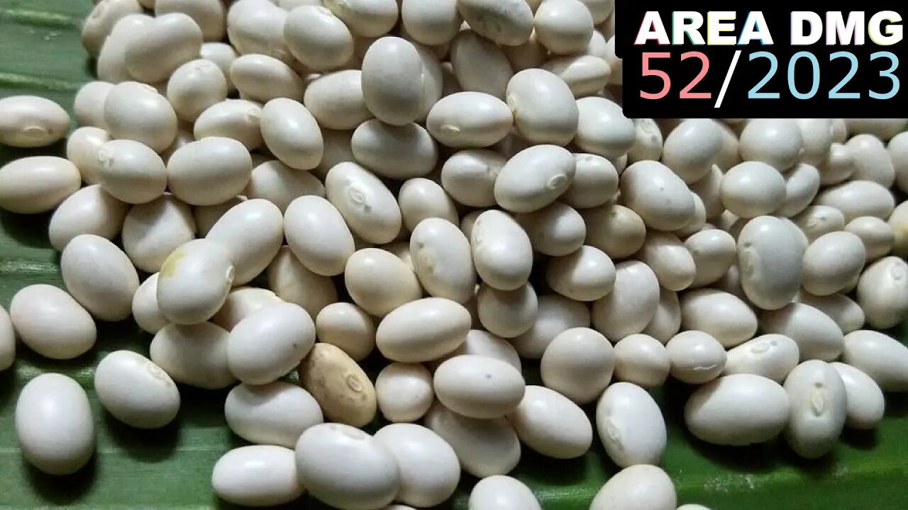 Sharp Cinema 52 - 2023 - Week 003