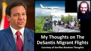 My Thoughts on The DeSantis Migrant Flights (Courtesy of GRT)