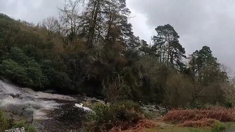 Drive along river Avon Dartmoor 25th March 2023(4)