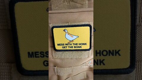 mess with the goose see what happens #shorts