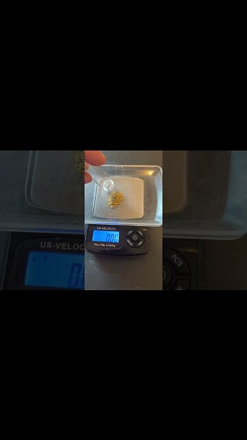 How much gold does it take to = $100?