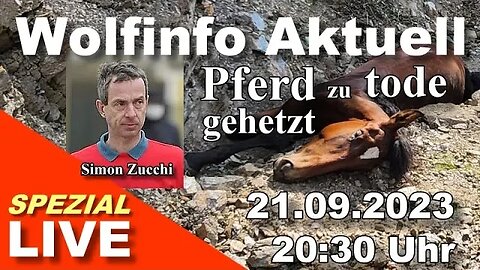 Wolfinfo Aktuell Spezial LIVE ( Pferd "Insomnia" zu tode gehetzt. )