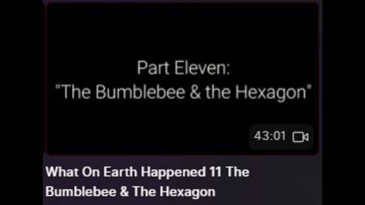 What On Earth Happened 11 The Bumblebee & The Hexagon