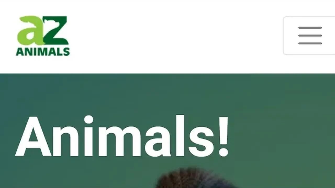 https://a-z-animals.com/