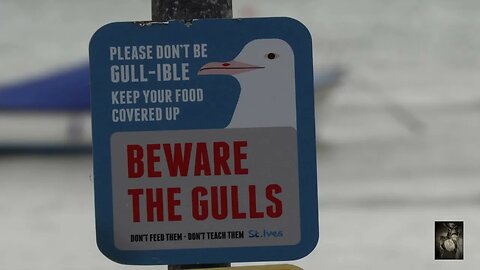 Harbour Sands Beach and Gulls. #whitenoise Sounds that can help with relaxing and more.