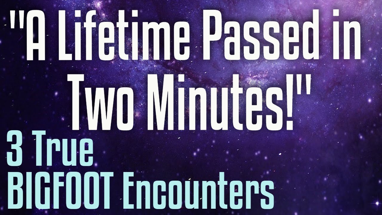 3 Bigfoot Encounters - "A lifetime passed in those 2 minutes!"