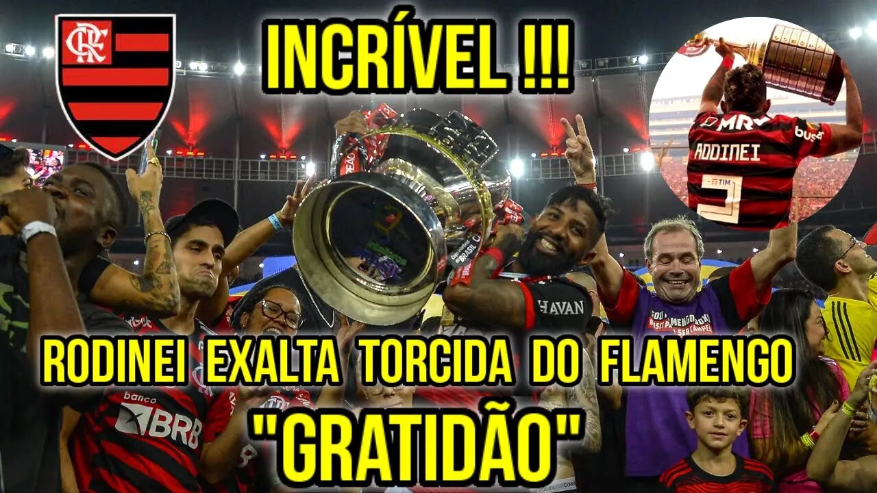 INCRÍVEL! RODINEI EXALTA TORCIDA DO FLAMENGO E AGRADECE A NAÇÃO RUBRO NEGRA "GRATIDÃO"