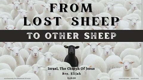 FROM LOST SHEEP TO OTHER SHEEP