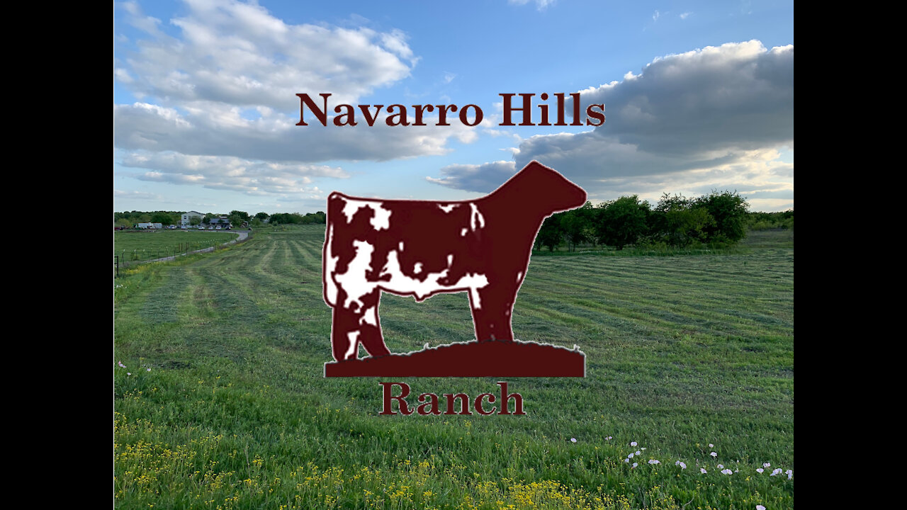 Our ranch! Come along for the journey.