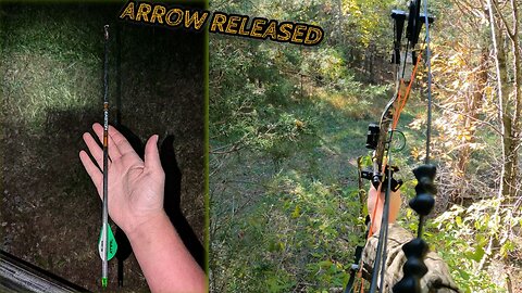 Intense Late October Hang n Hunt! - Deer Season 2024