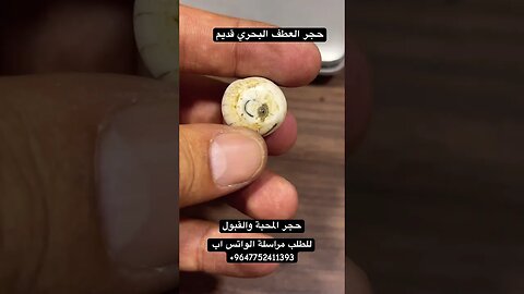 حجر العطف البحري