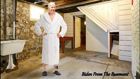 Biden from the Basement 1