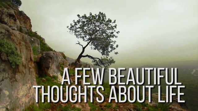 Beautiful Thoughts about Life