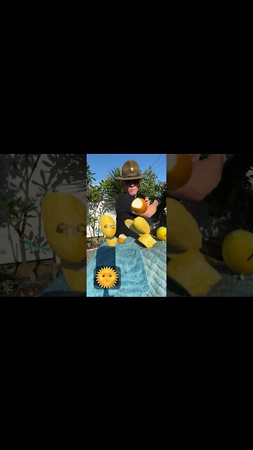 Bayonets, may BE the BEST Choice! LOOK at the accuracy of these cuts!#knives #history #guns #disney