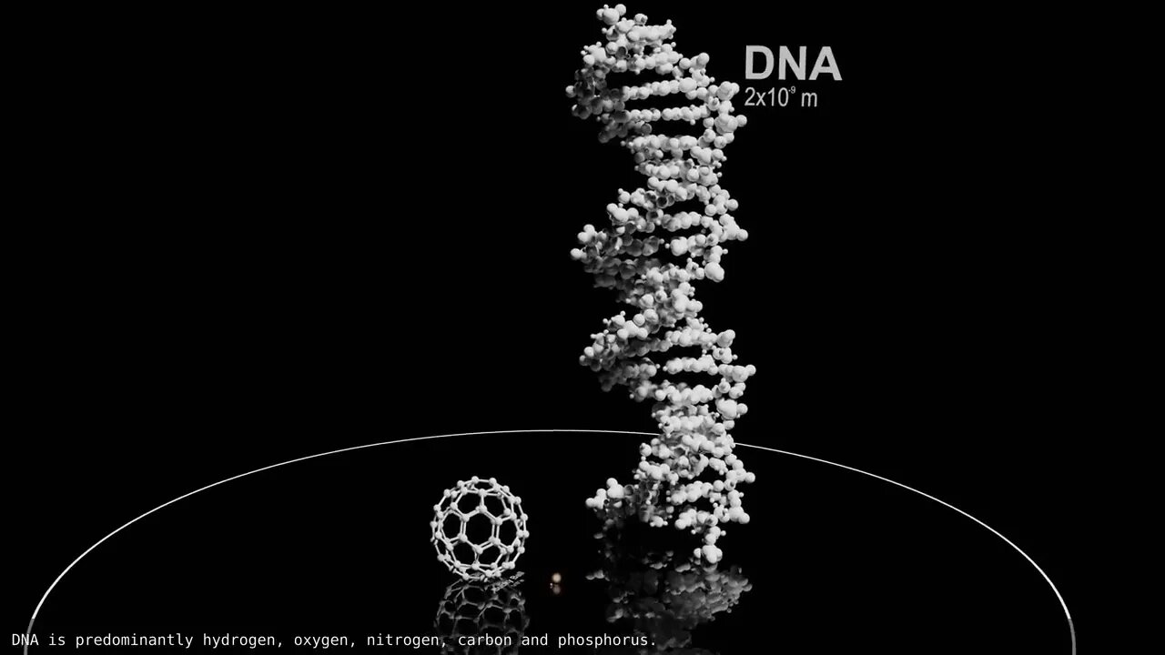 Universe Size Comparison 2020