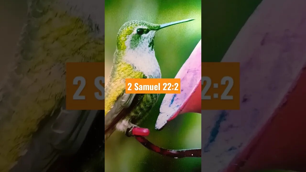 Morning Scripture Verse
