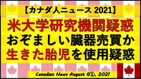 米大学研究機関疑惑