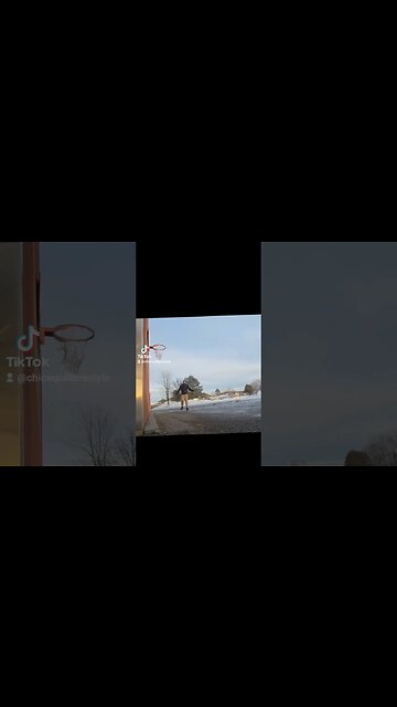 #pinksky #sunset #april2023 #trailer #ytshortscanada #ytshortsvideo