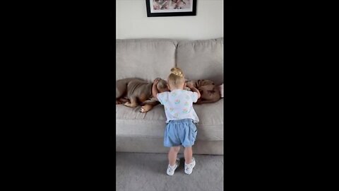 Little boy hugging dogs while sleeping