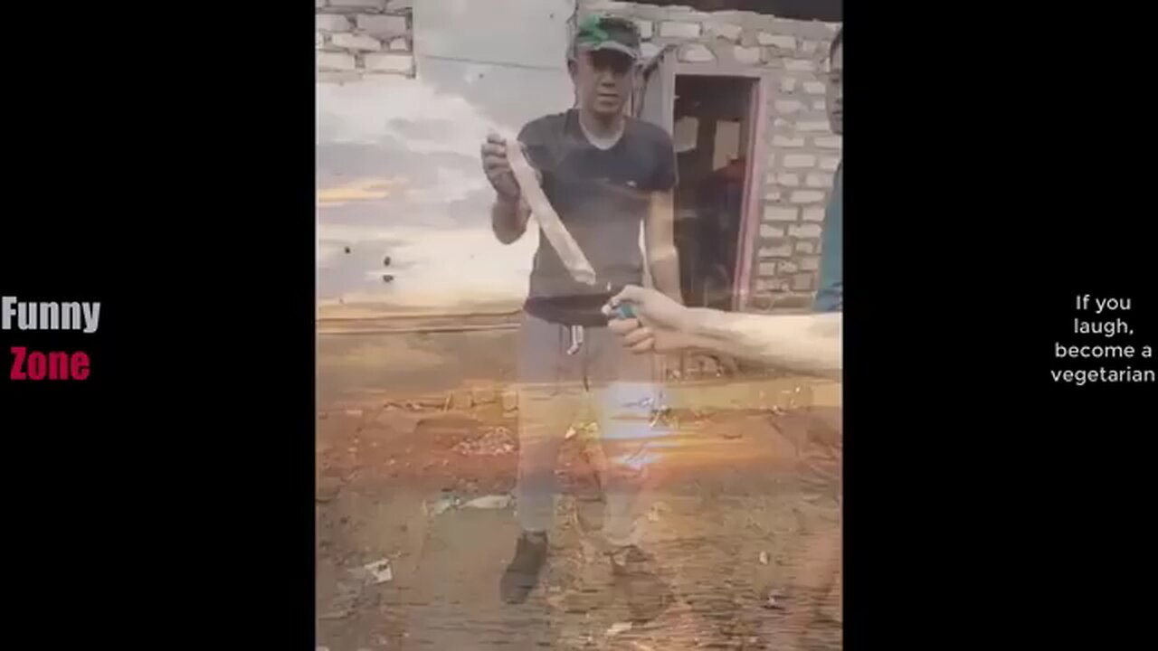 funny videos