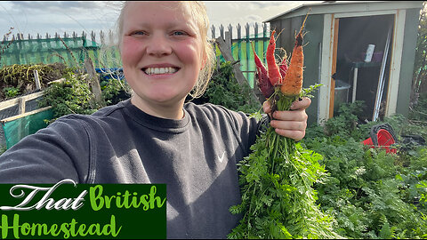 Preparing for the winter allotment